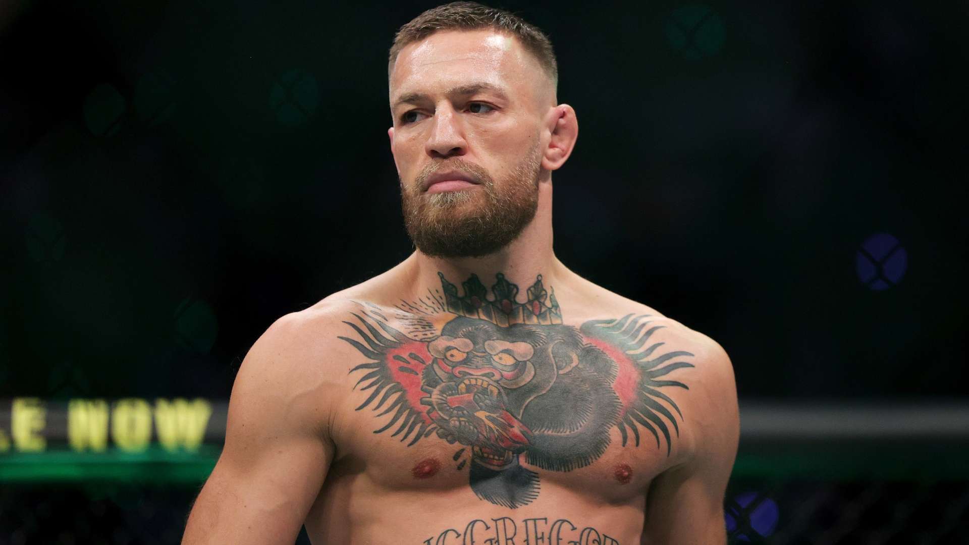 寄予厚望 寄予厚望